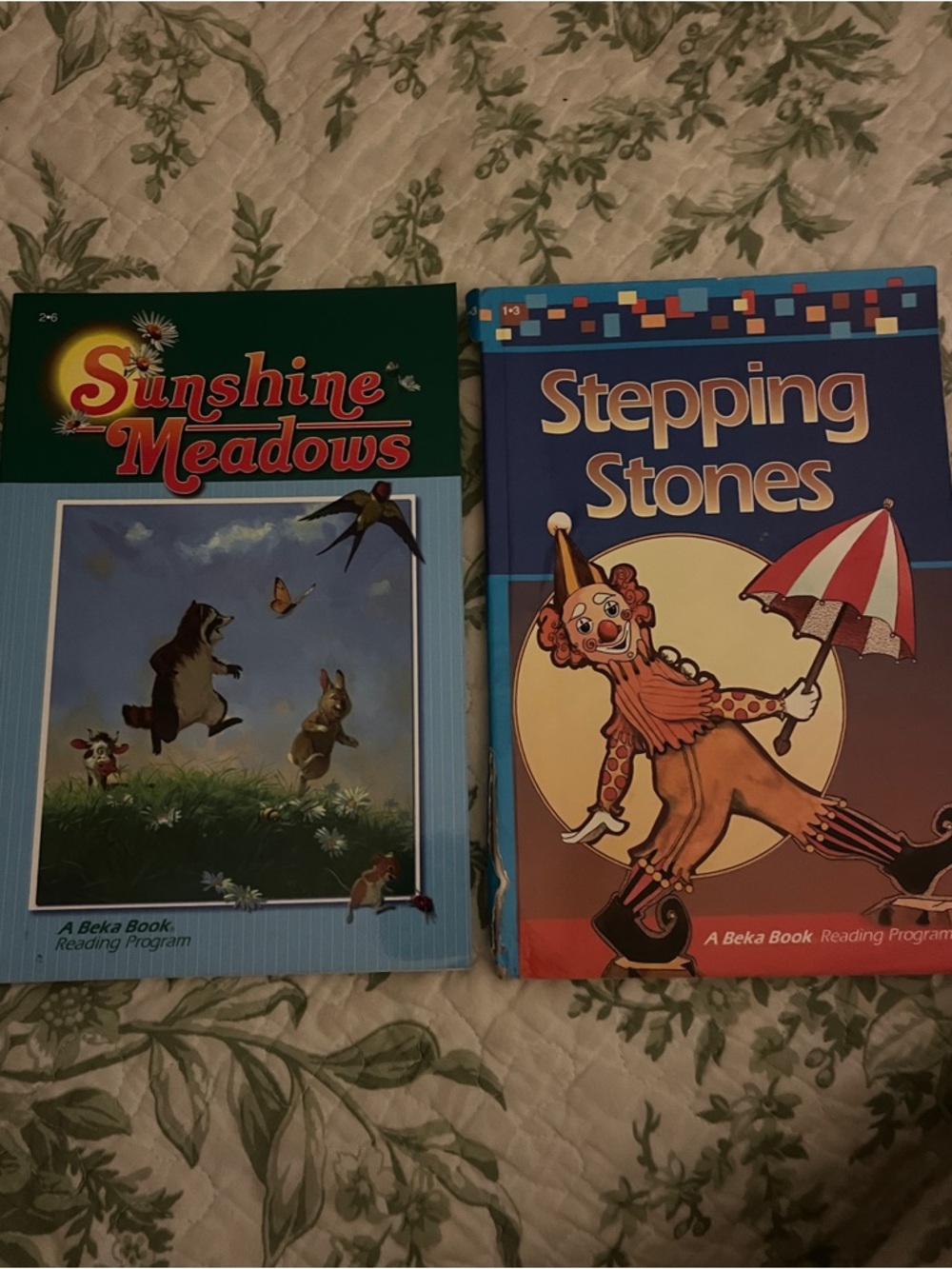 Sunshine Meadows & Stepping Stones Children's Reading Books - Blue, Green, Red